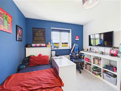 Picture 13